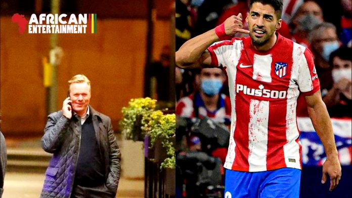 InCollage_20260113_074533402